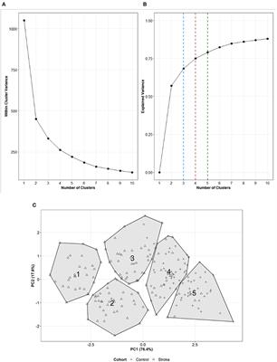 Sensor-Based Categorization of Upper Limb Performance in Daily Life of Persons With and Without Neurological Upper Limb Deficits